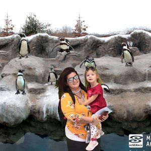 Meet your Posher, Kaylaa